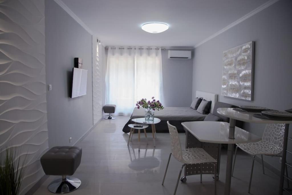 Stylish In Only 50 Meters From ! Appartement Nice